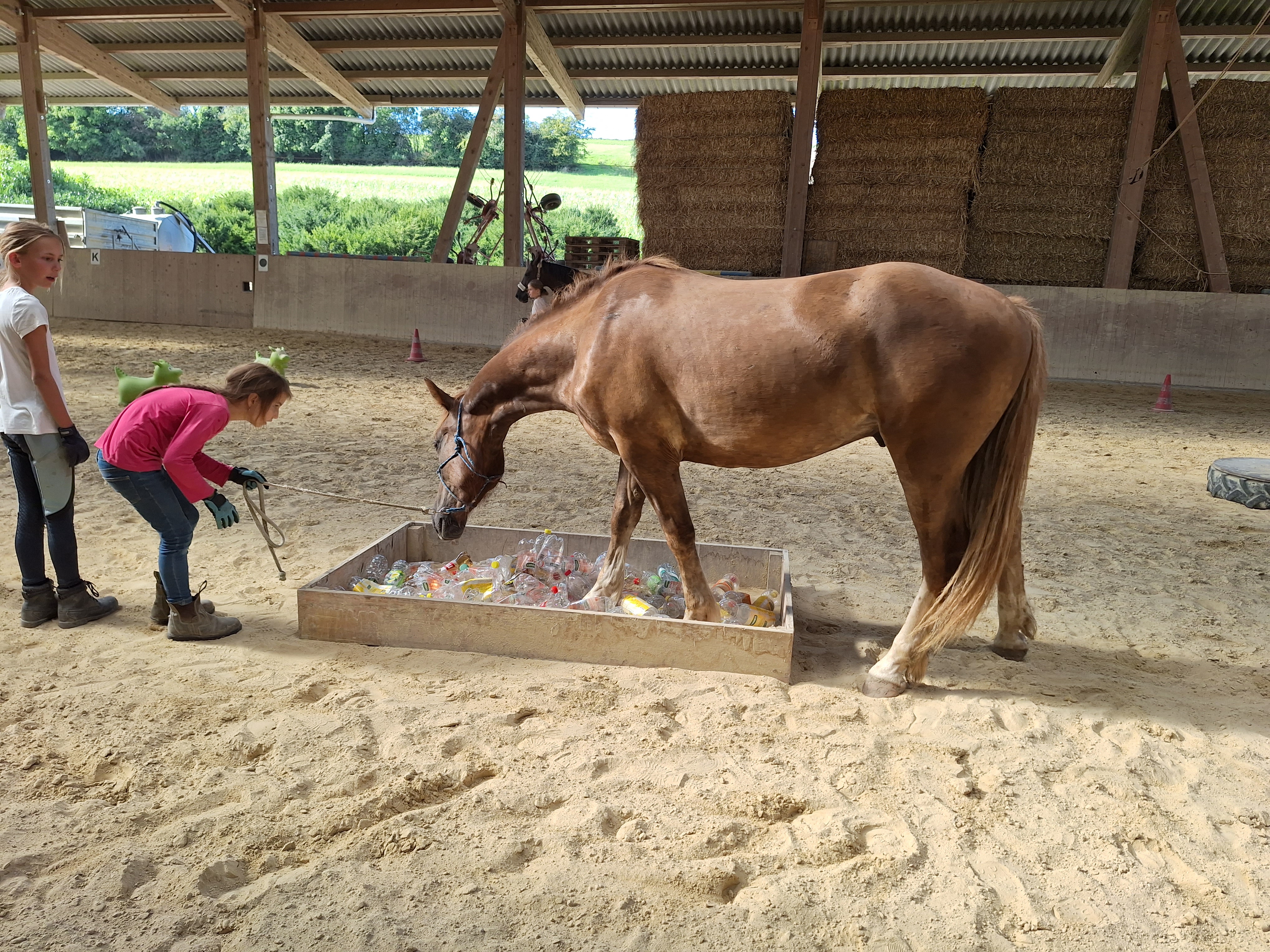 Reitlager 2 vom 5.-10.8.23 (127)