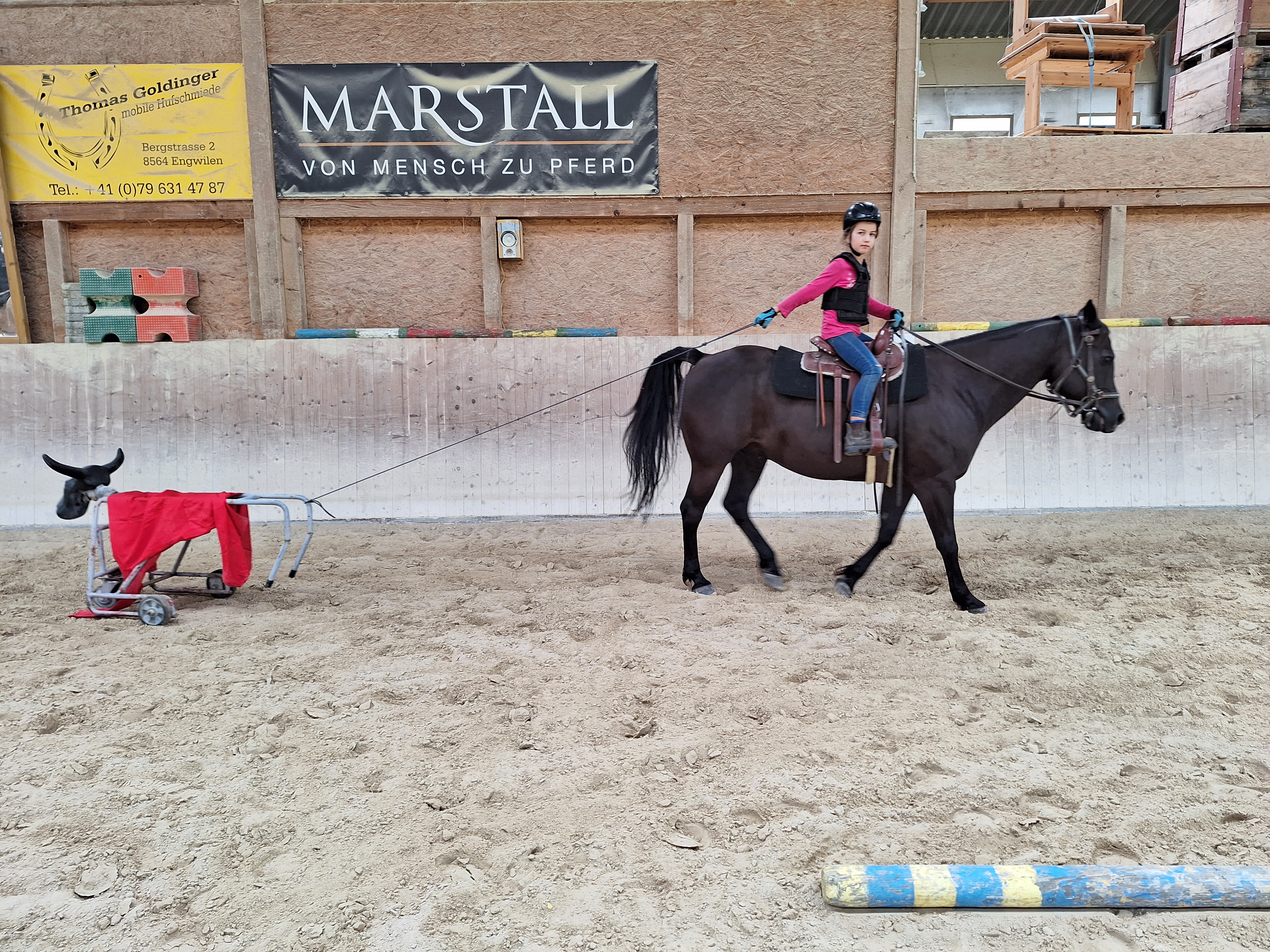 Reitlager 2 vom 5.-10.8.23 (66)