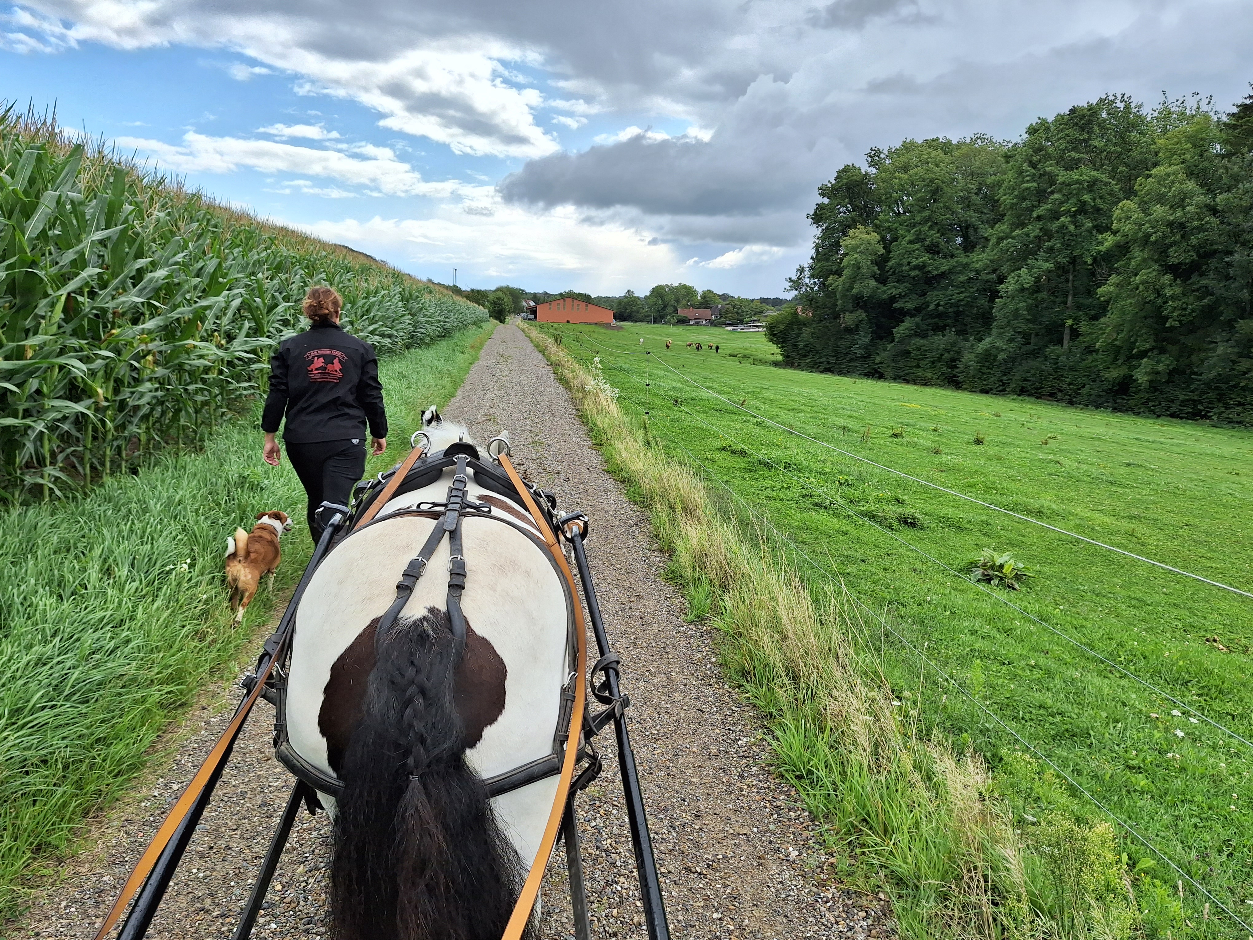 Reitlager 2 vom 5.-10.8.23 (36)
