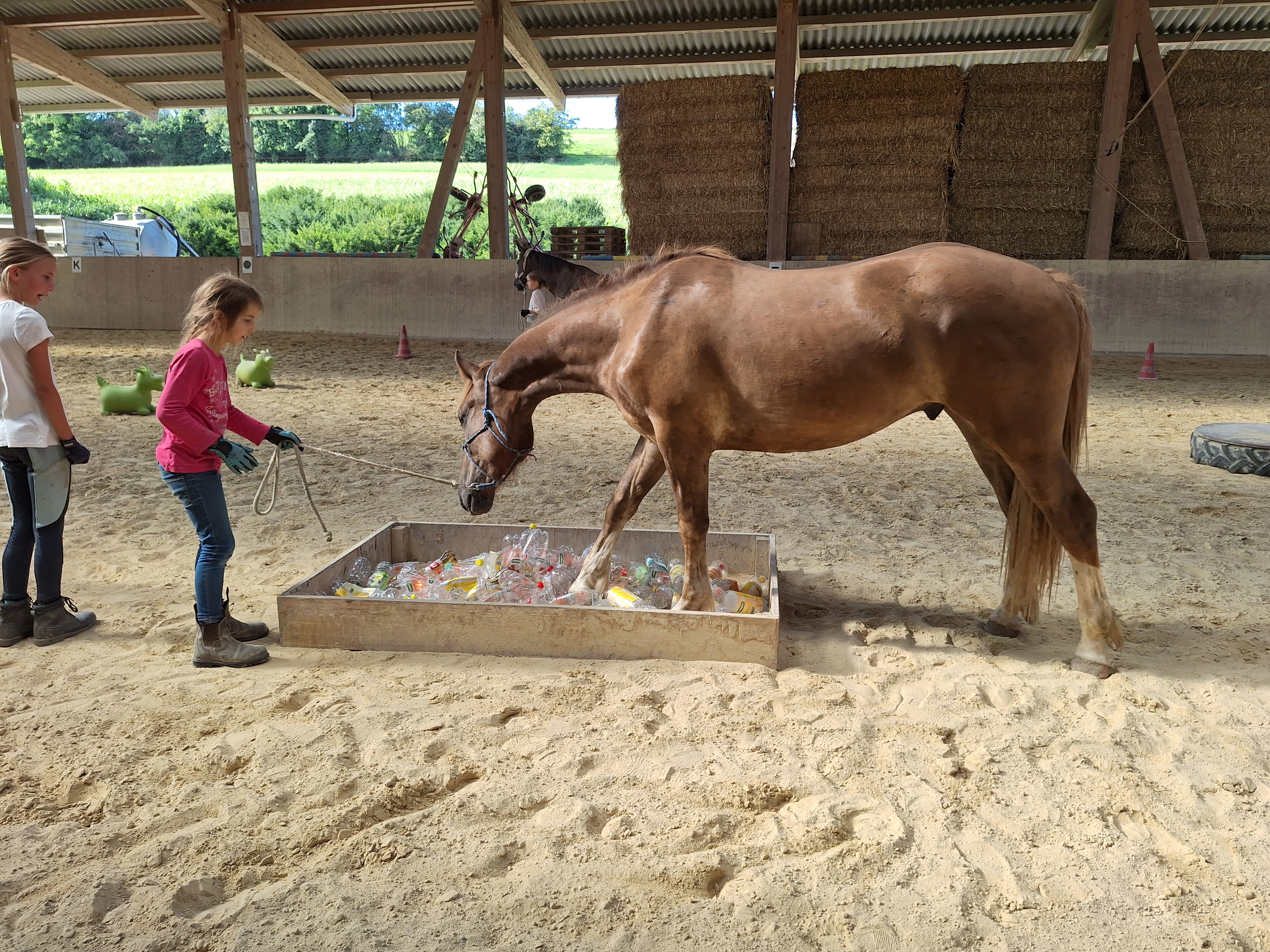 Reitlager 2 vom 5.-10.8.23 (126)