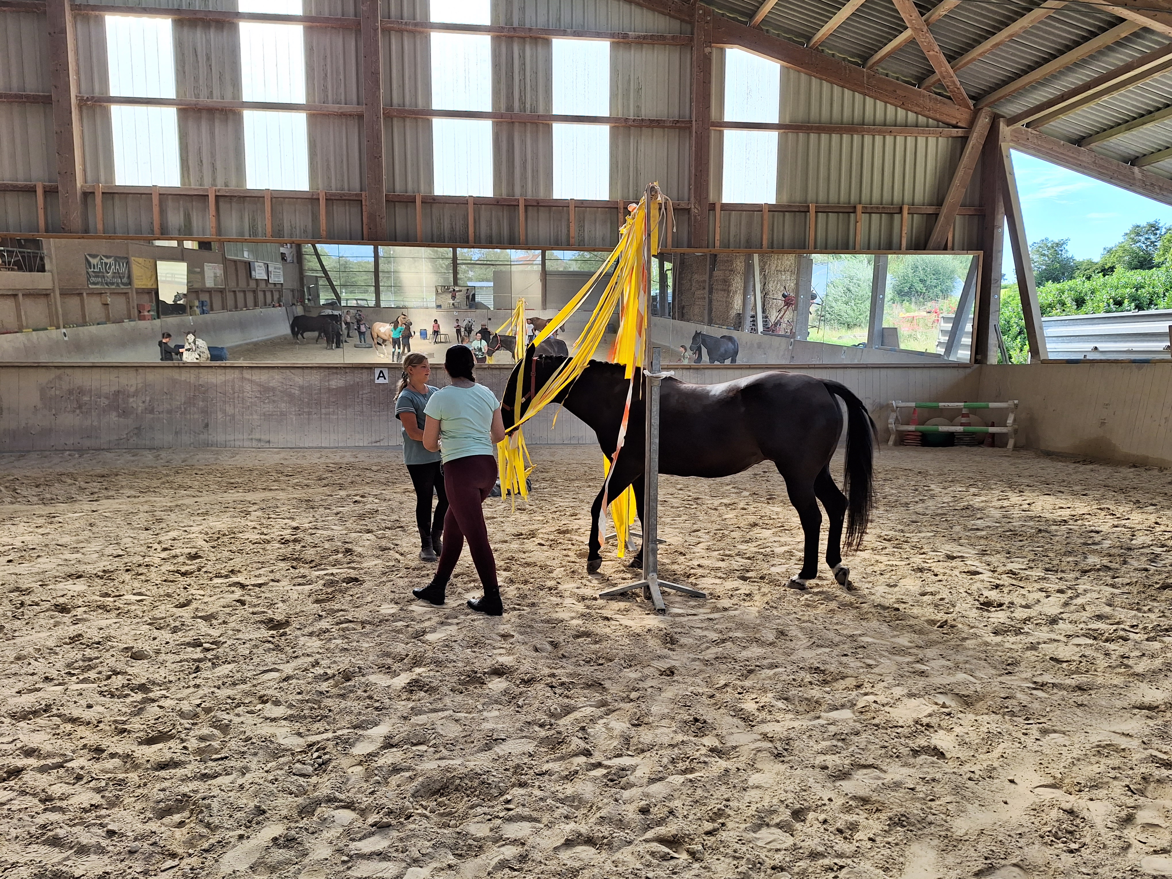 Reitlager 2 vom 5.-10.8.23 (106)