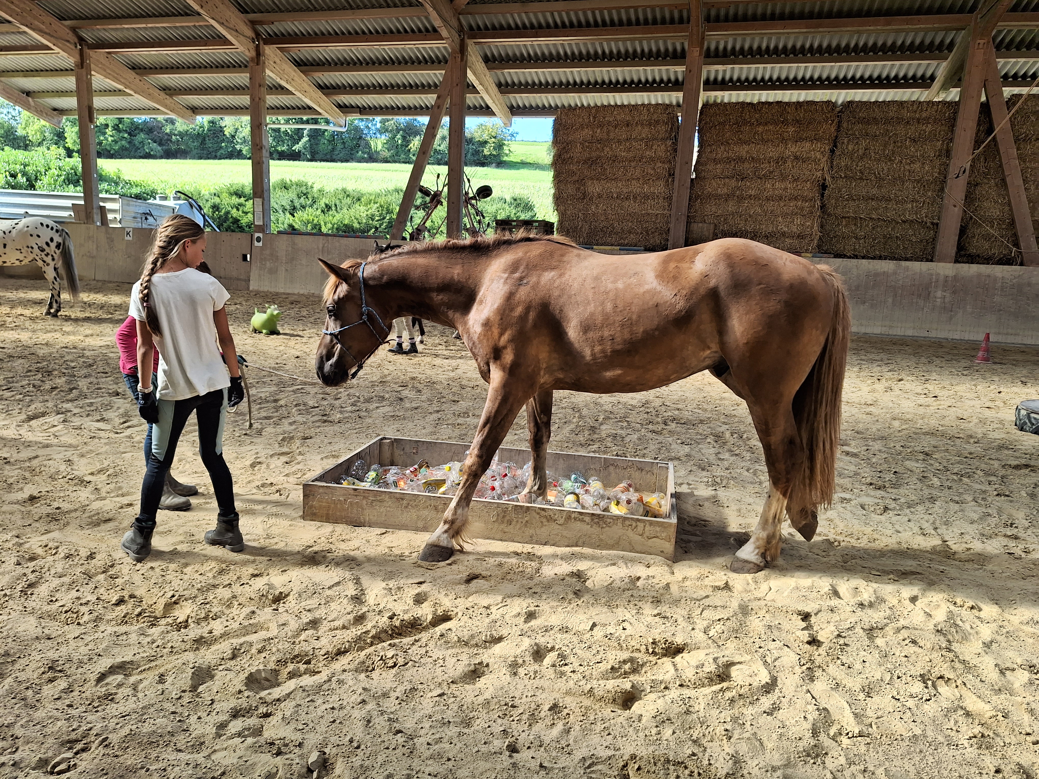 Reitlager 2 vom 5.-10.8.23 (128)