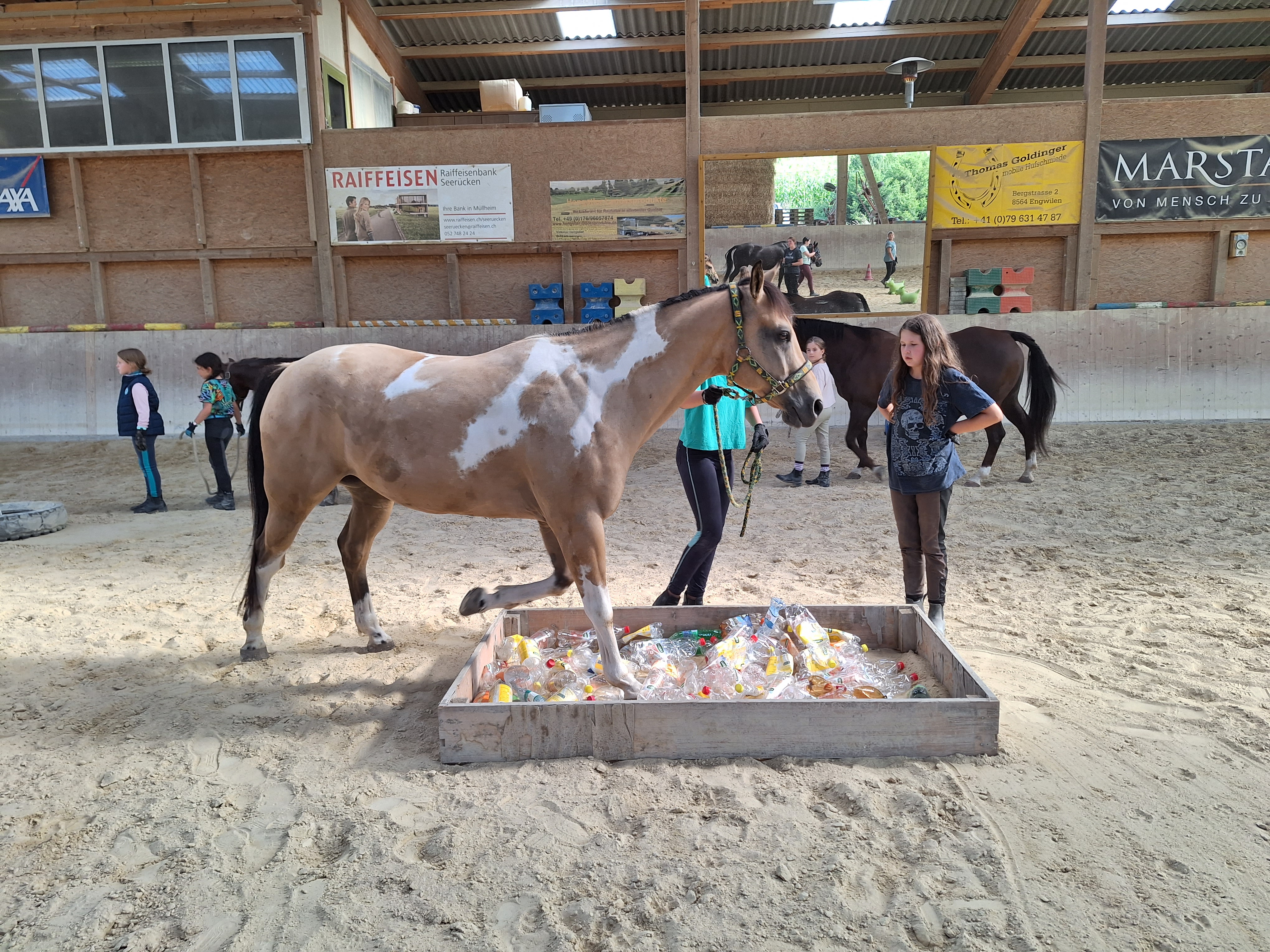 Reitlager 2 vom 5.-10.8.23 (104)
