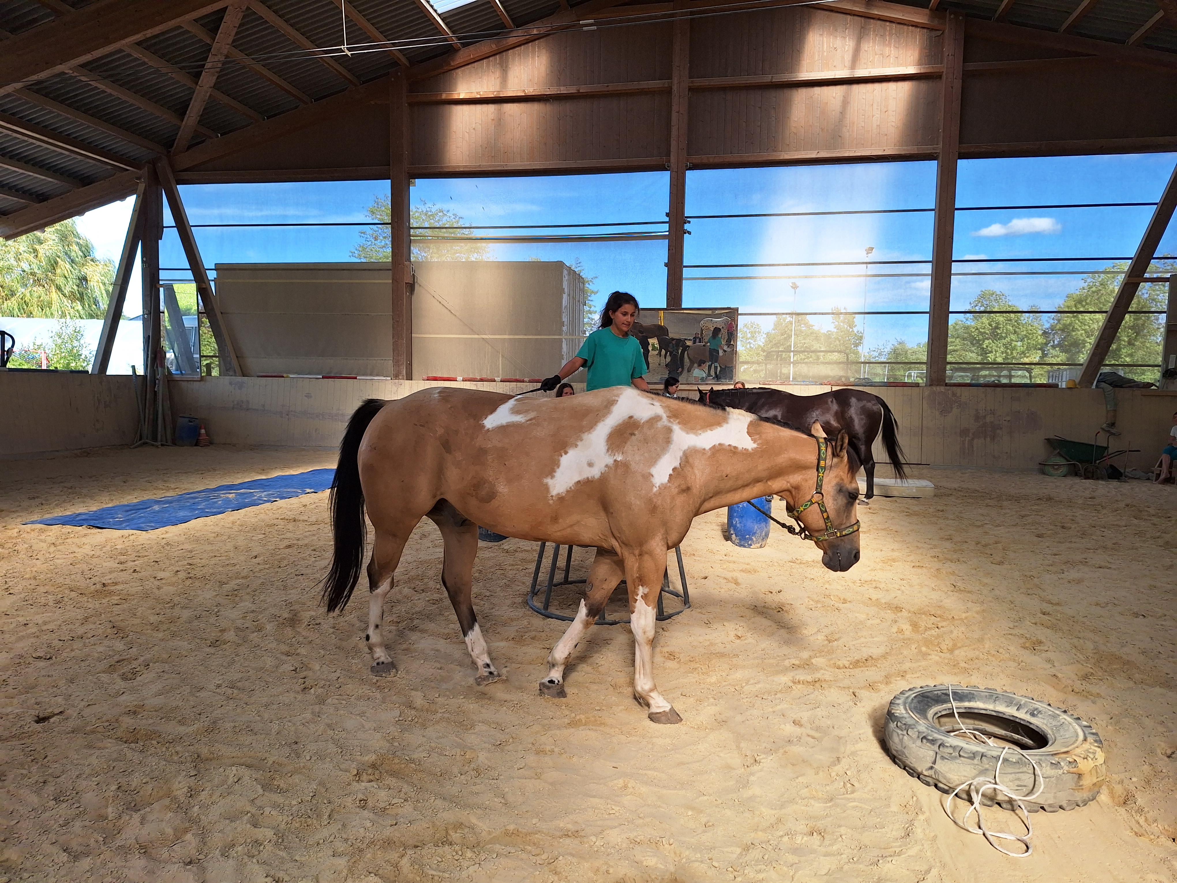 Reitlager 2 vom 5.-10.8.23 (129)