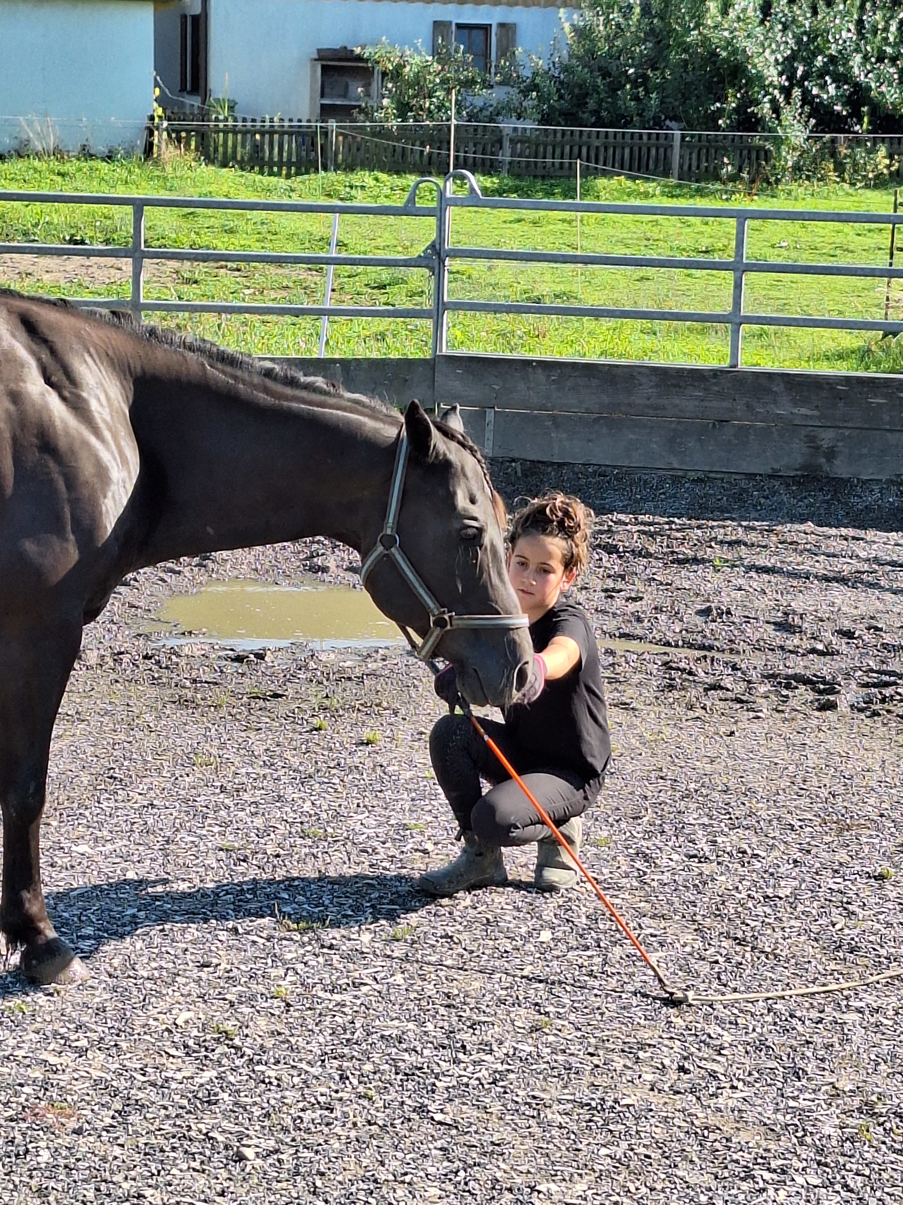 Reitlager 2 vom 5.-10.8.23 (140)