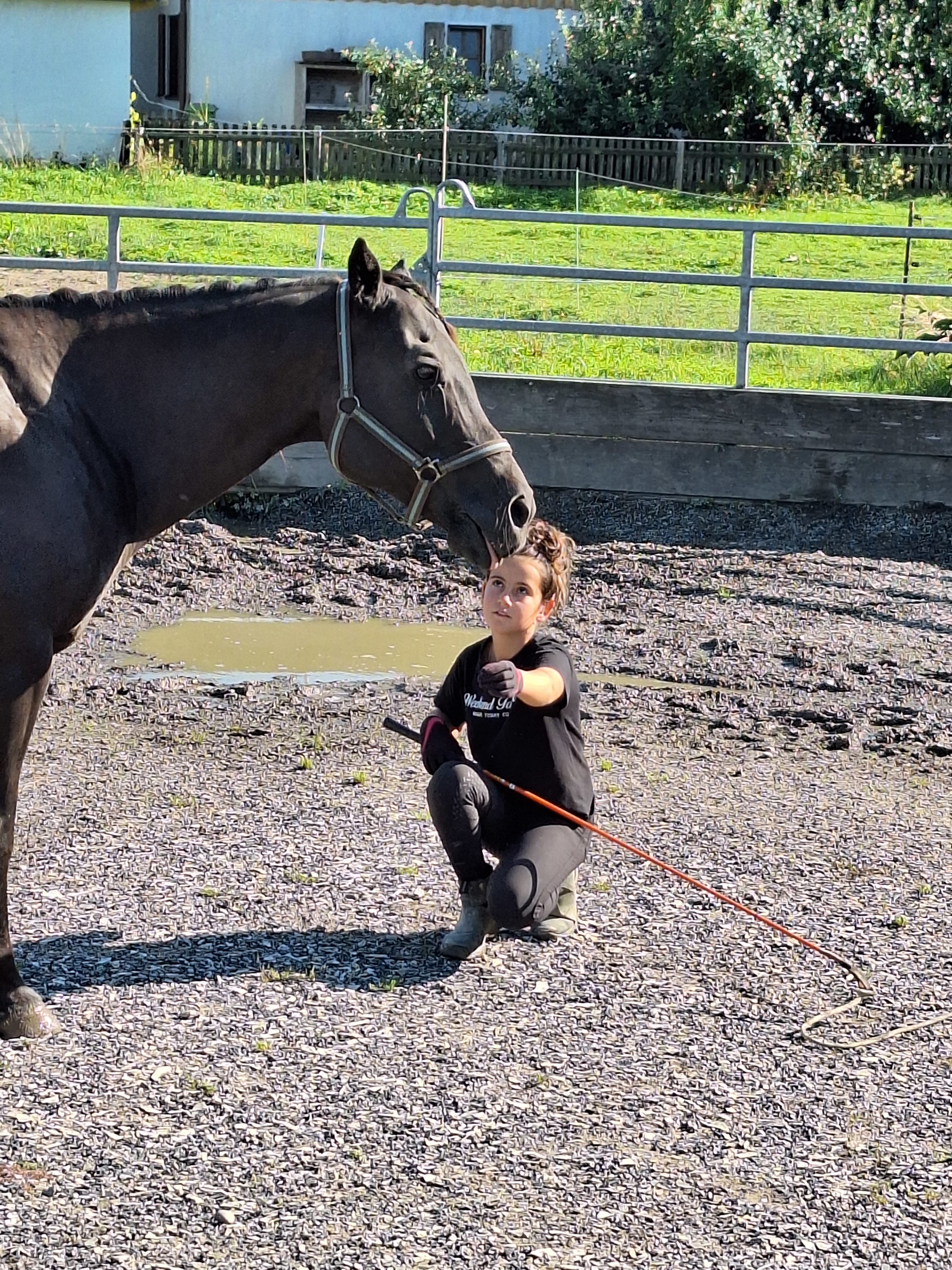 Reitlager 2 vom 5.-10.8.23 (141)