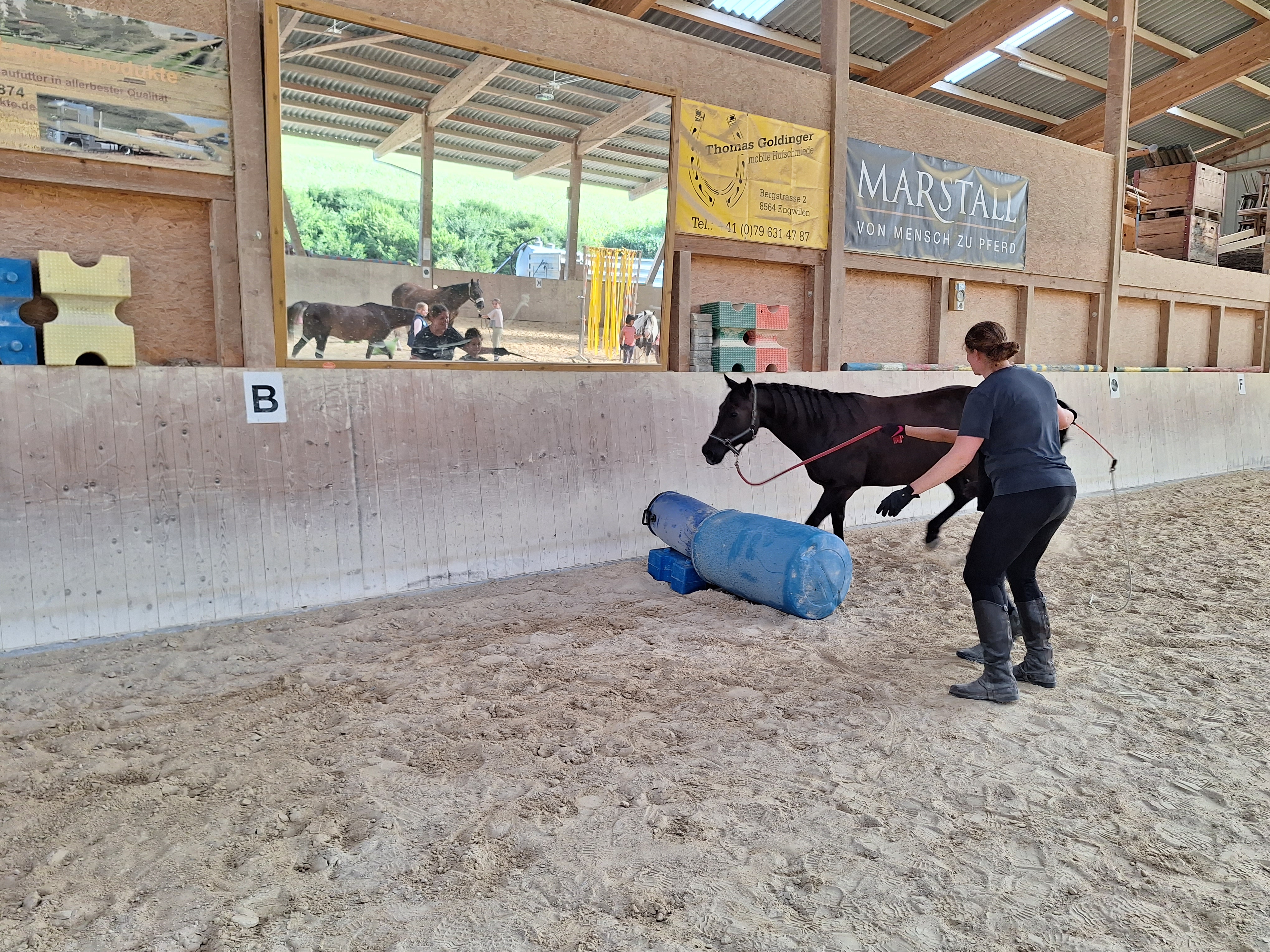Reitlager 2 vom 5.-10.8.23 (131)