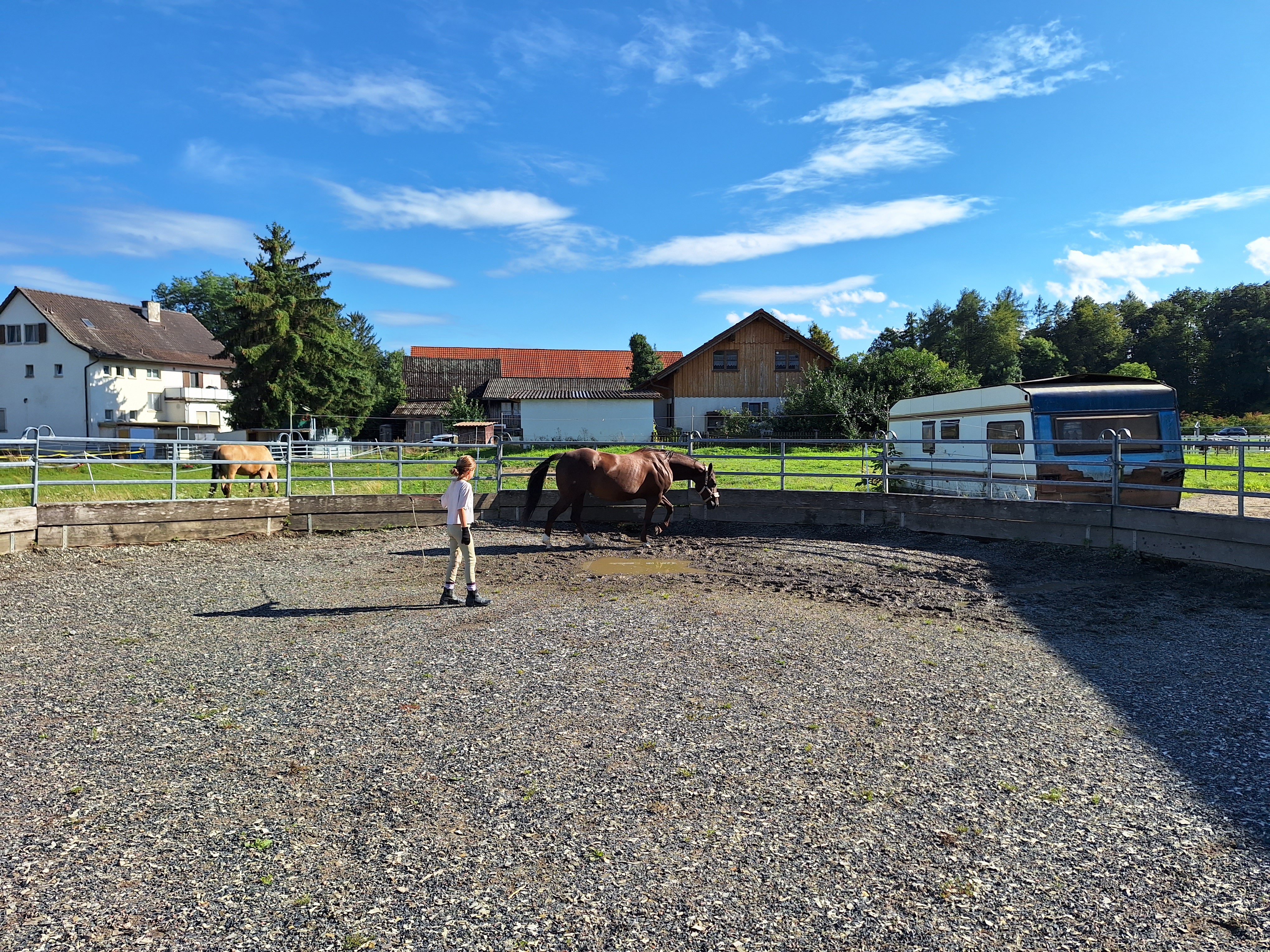 Reitlager 2 vom 5.-10.8.23 (137)