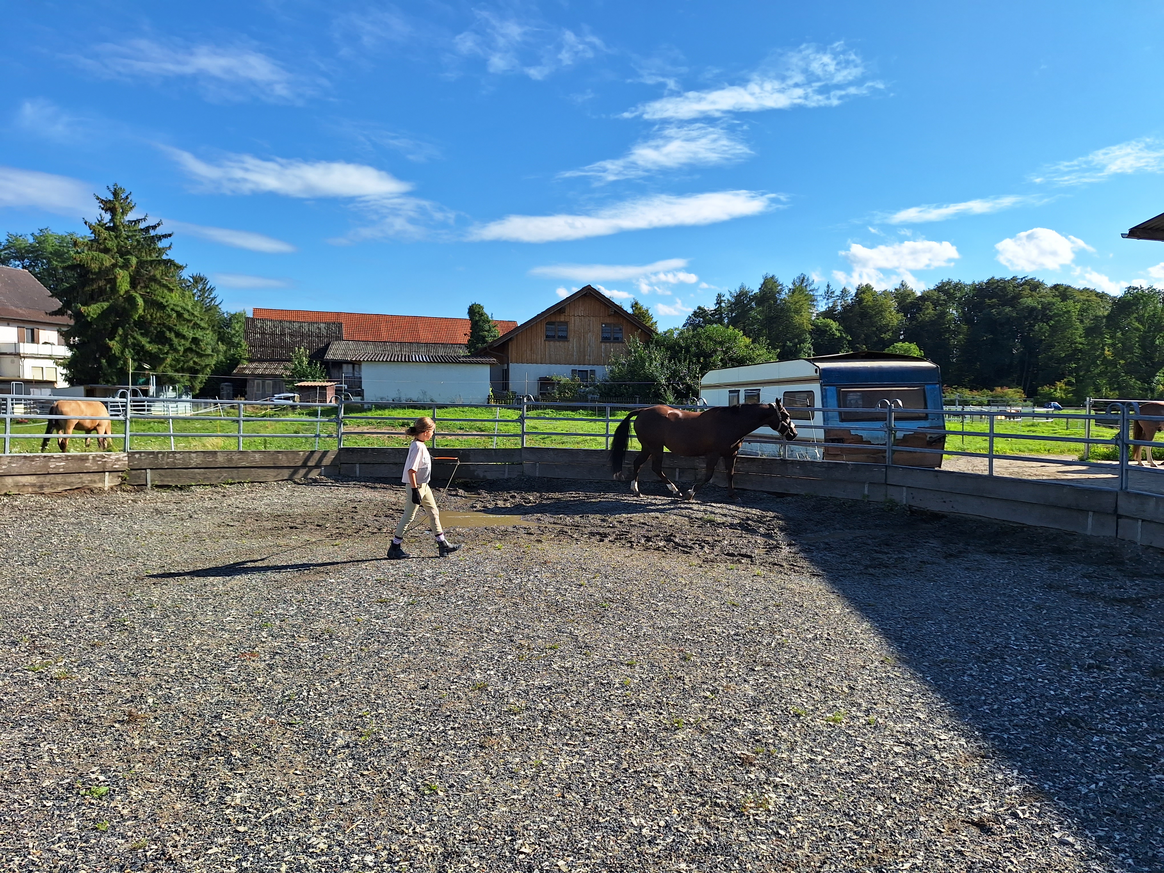Reitlager 2 vom 5.-10.8.23 (138)