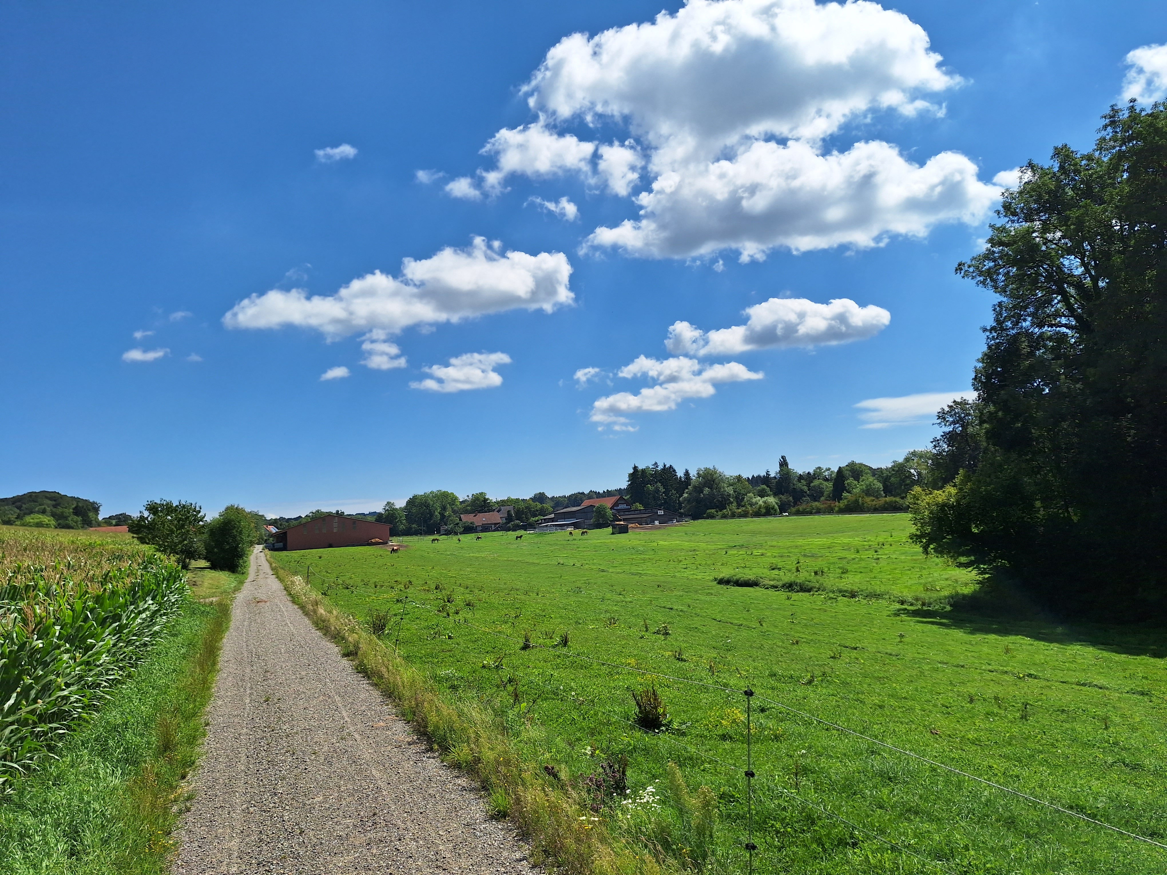 Reitlager 2 vom 5.-10.8.23 (176)