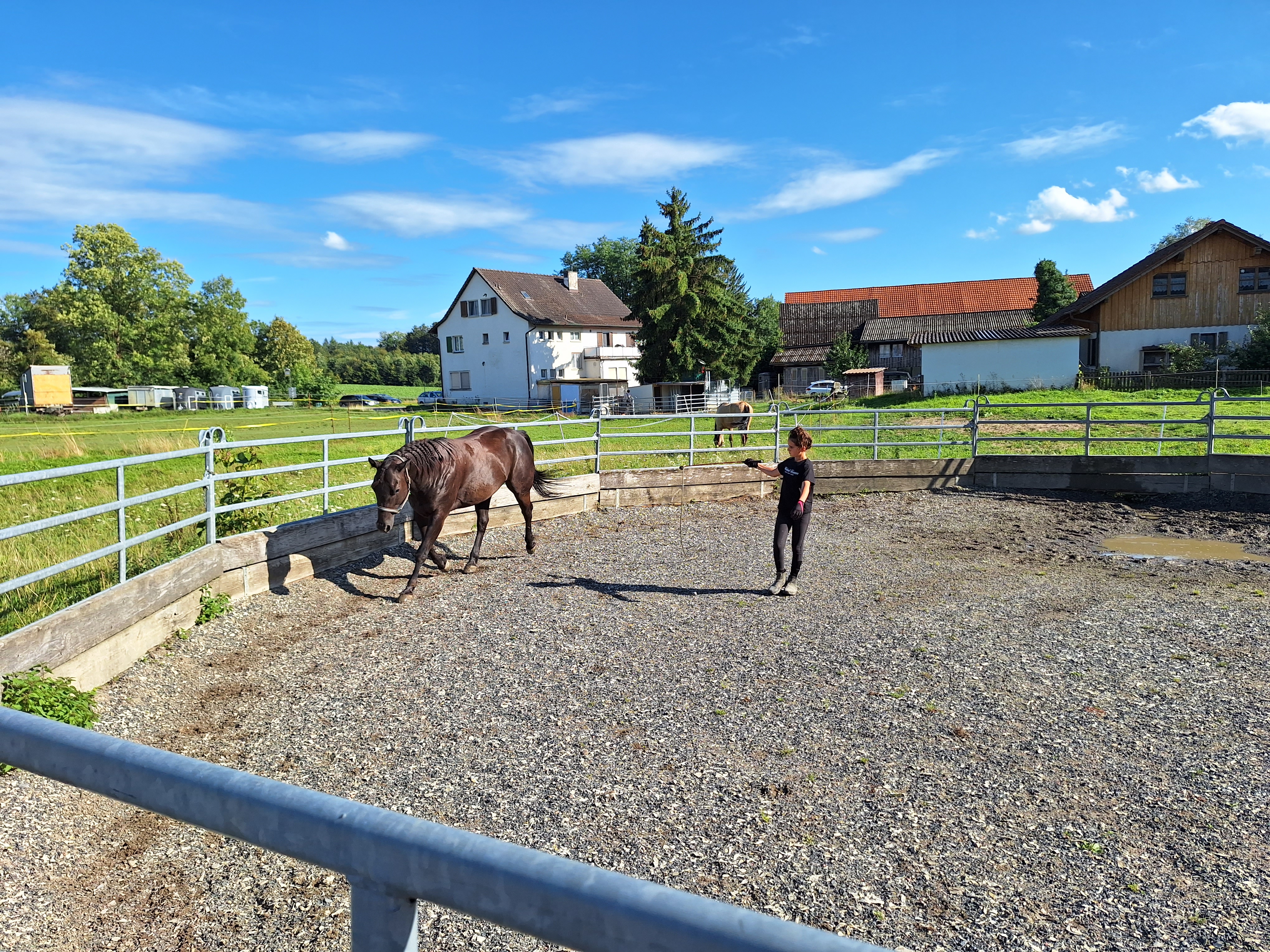 Reitlager 2 vom 5.-10.8.23 (139)