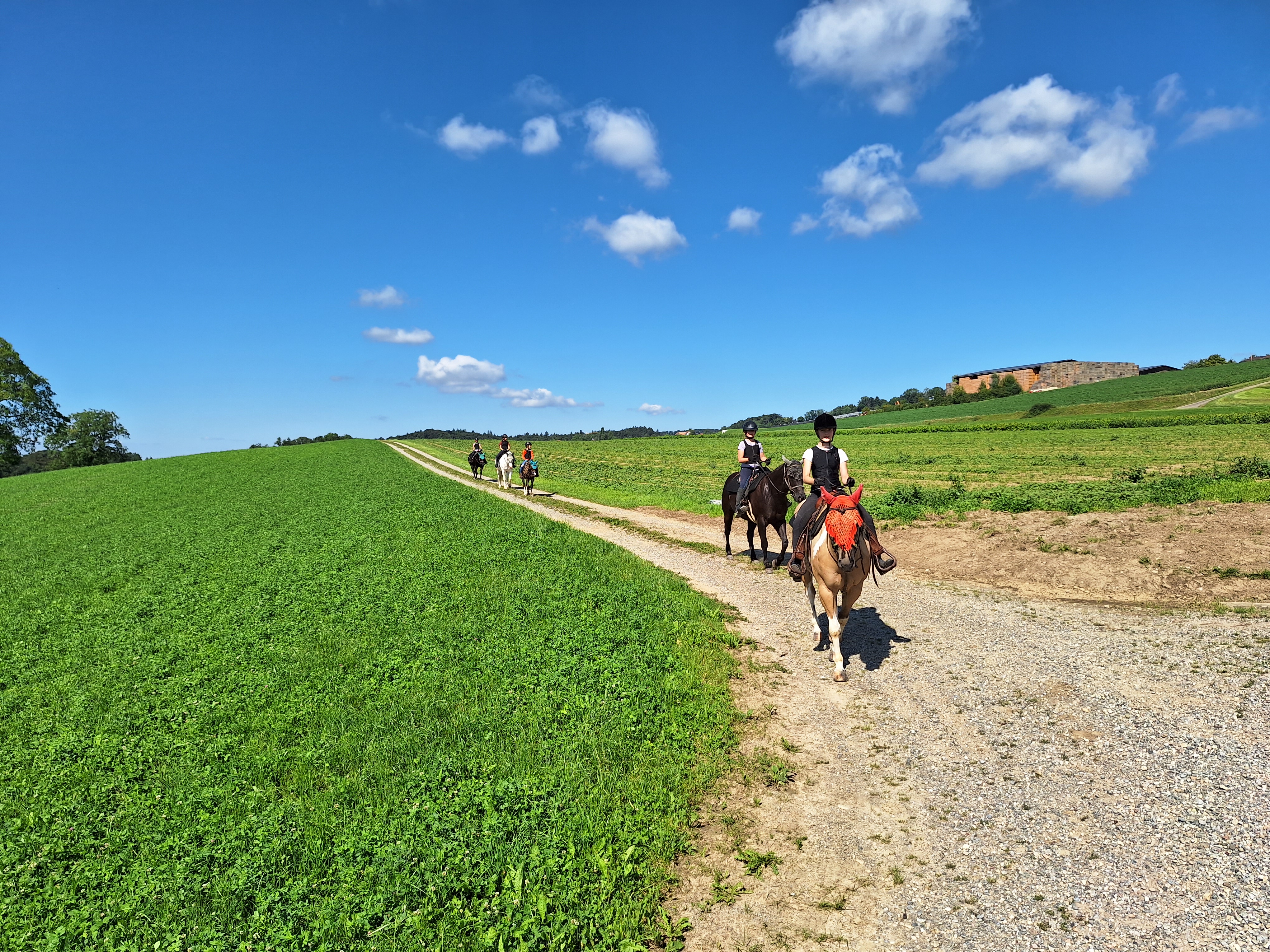 Reitlager 2 vom 5.-10.8.23 (172)