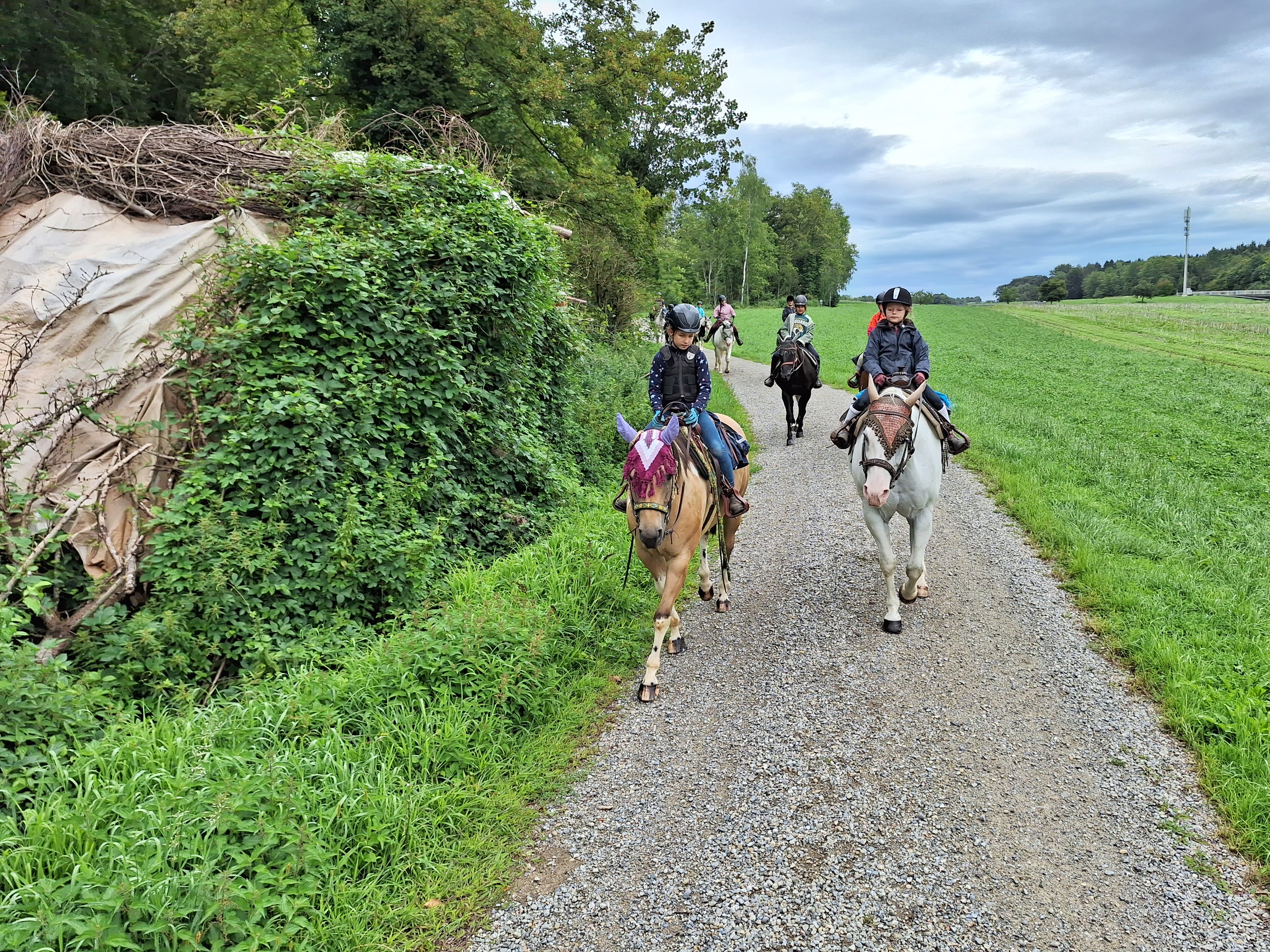 Reitlager 2 vom 5.-10.8.23 (148)