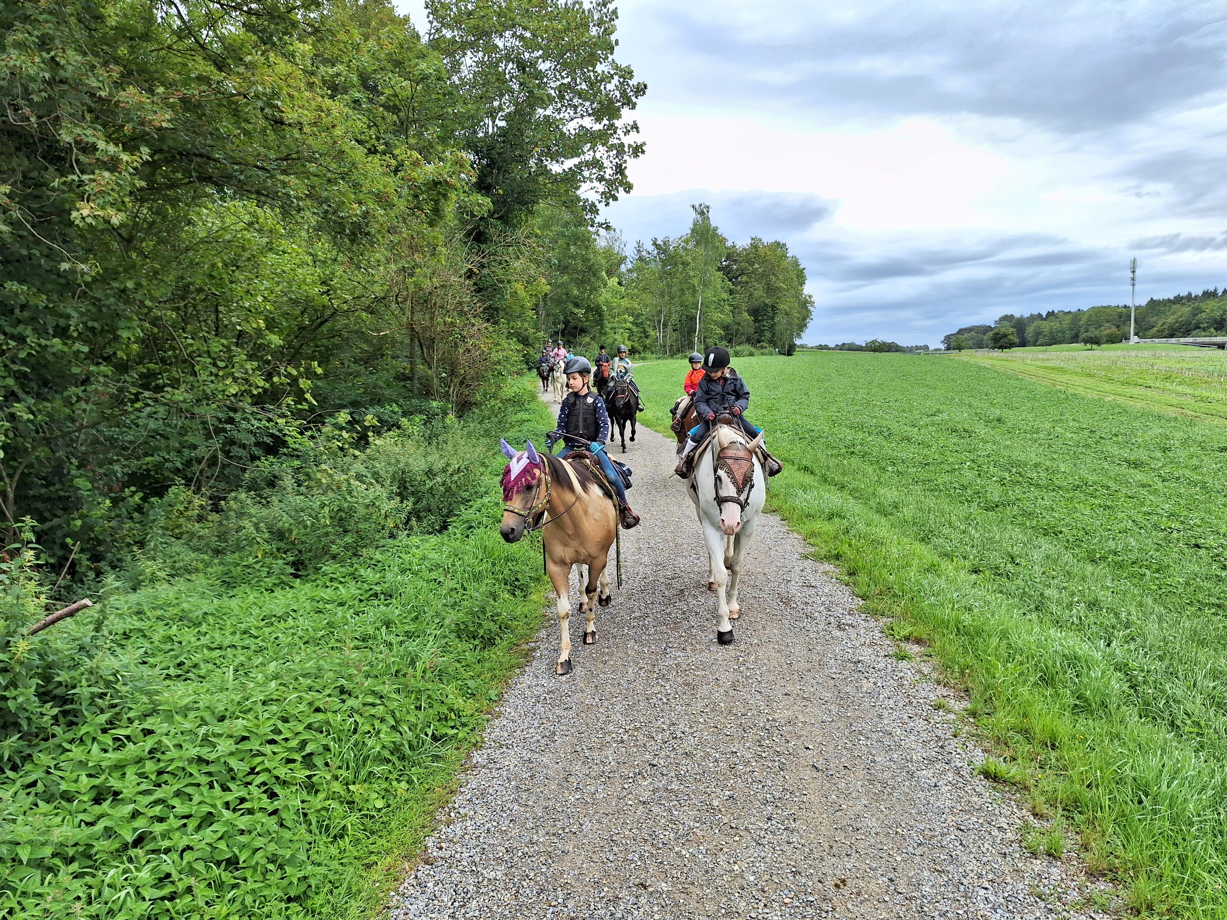 Reitlager 2 vom 5.-10.8.23 (147)