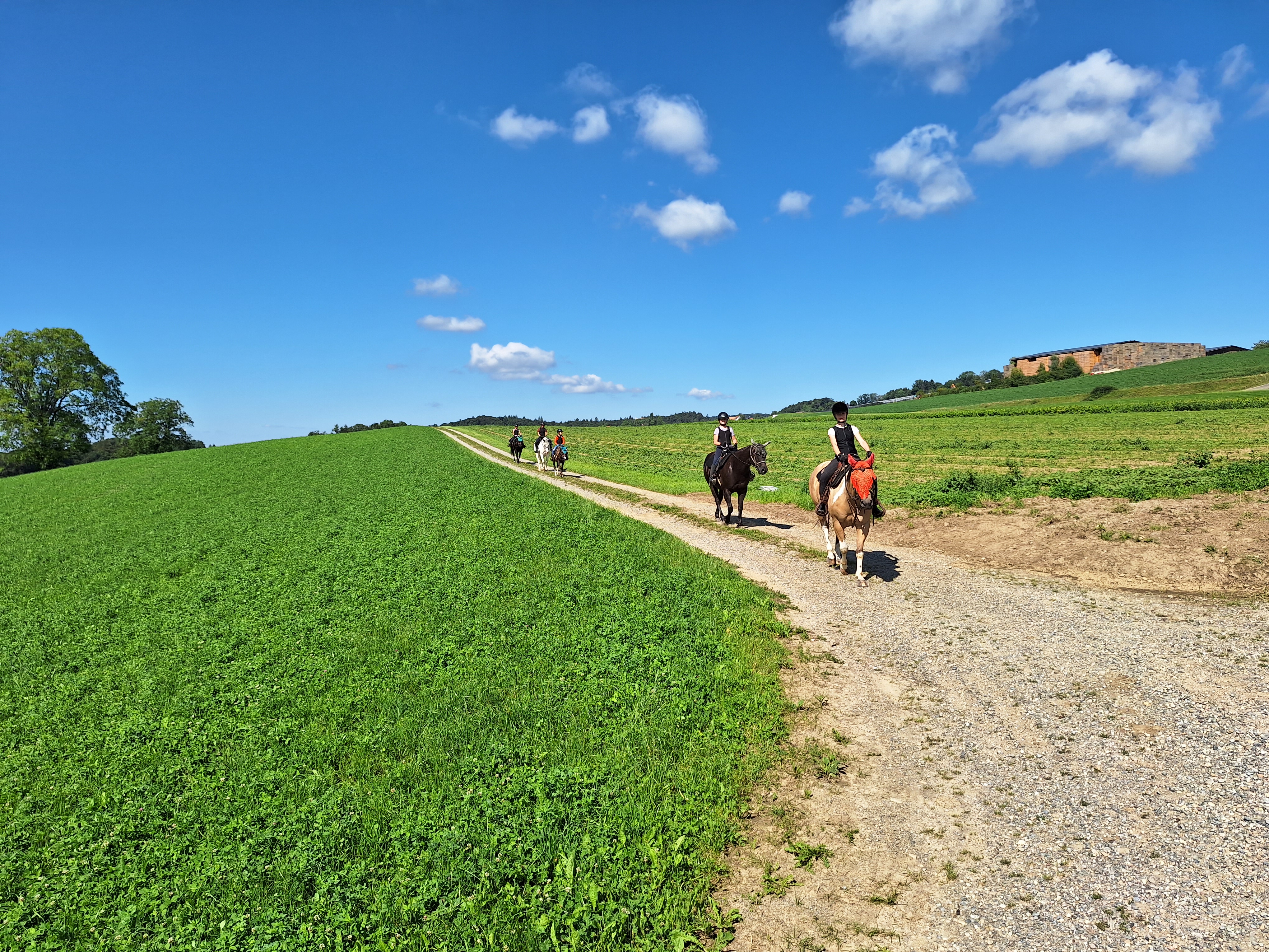 Reitlager 2 vom 5.-10.8.23 (171)