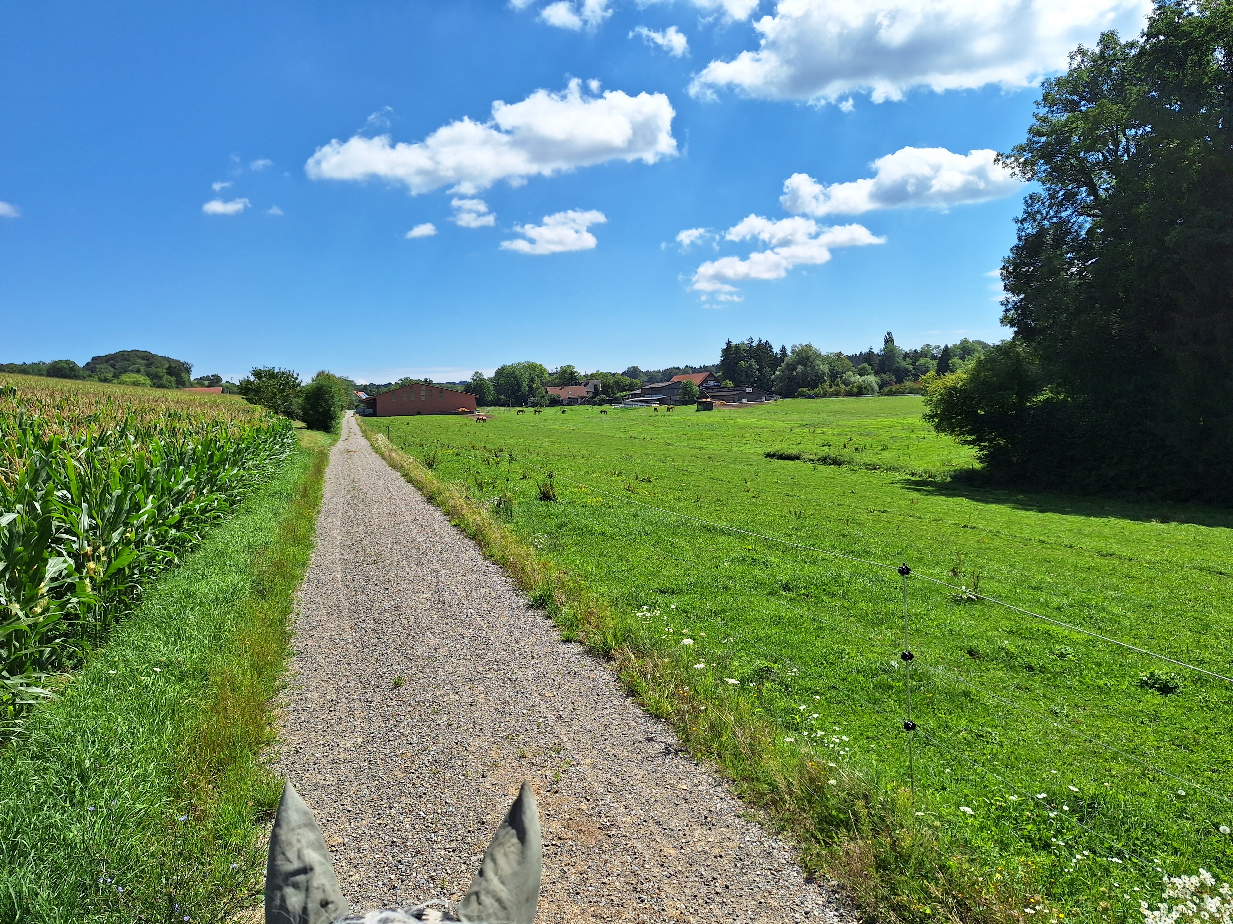 Reitlager 2 vom 5.-10.8.23 (175)