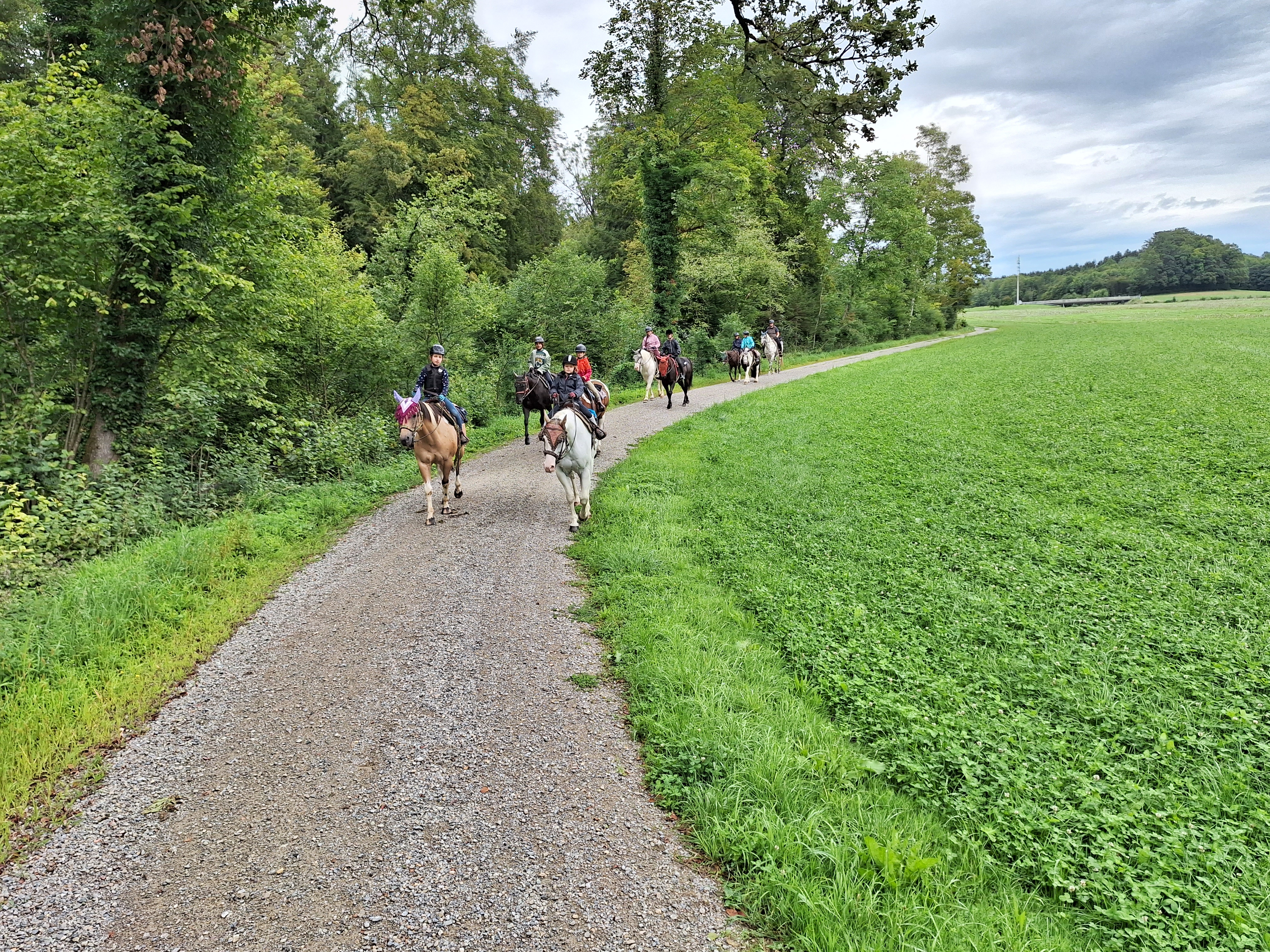 Reitlager 2 vom 5.-10.8.23 (150)
