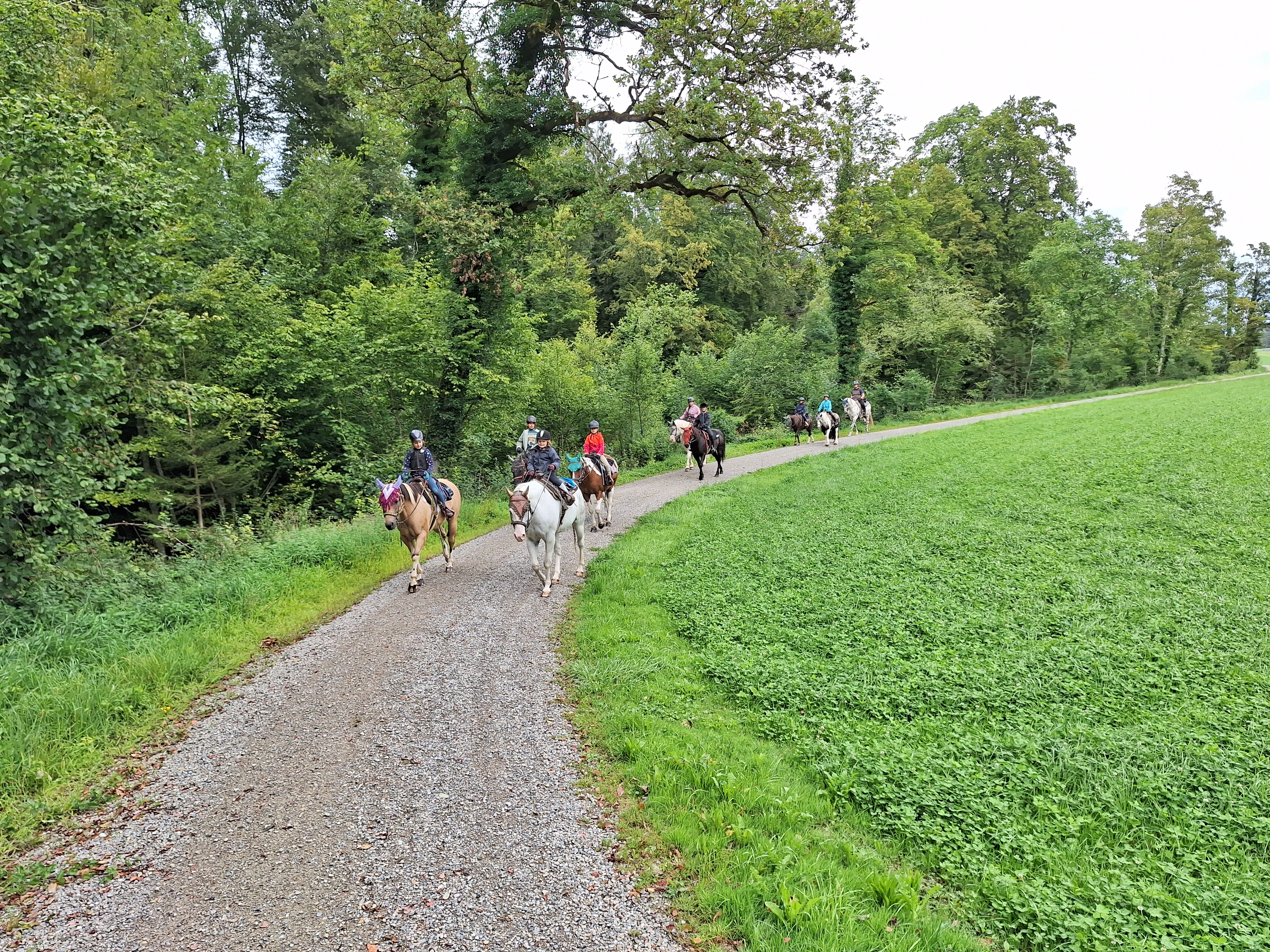 Reitlager 2 vom 5.-10.8.23 (152)