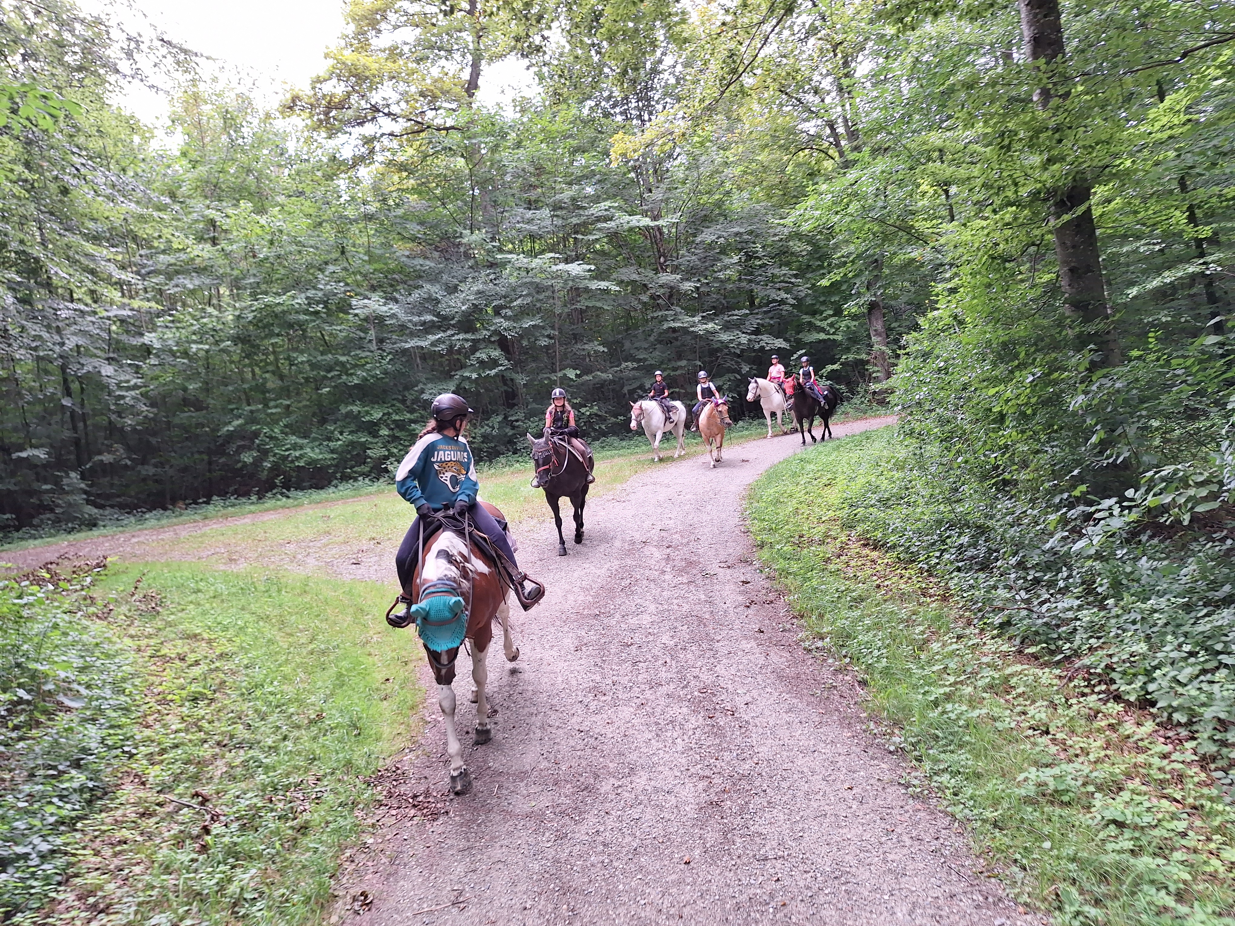 Reitlager 2 vom 5.-10.8.23 (156)
