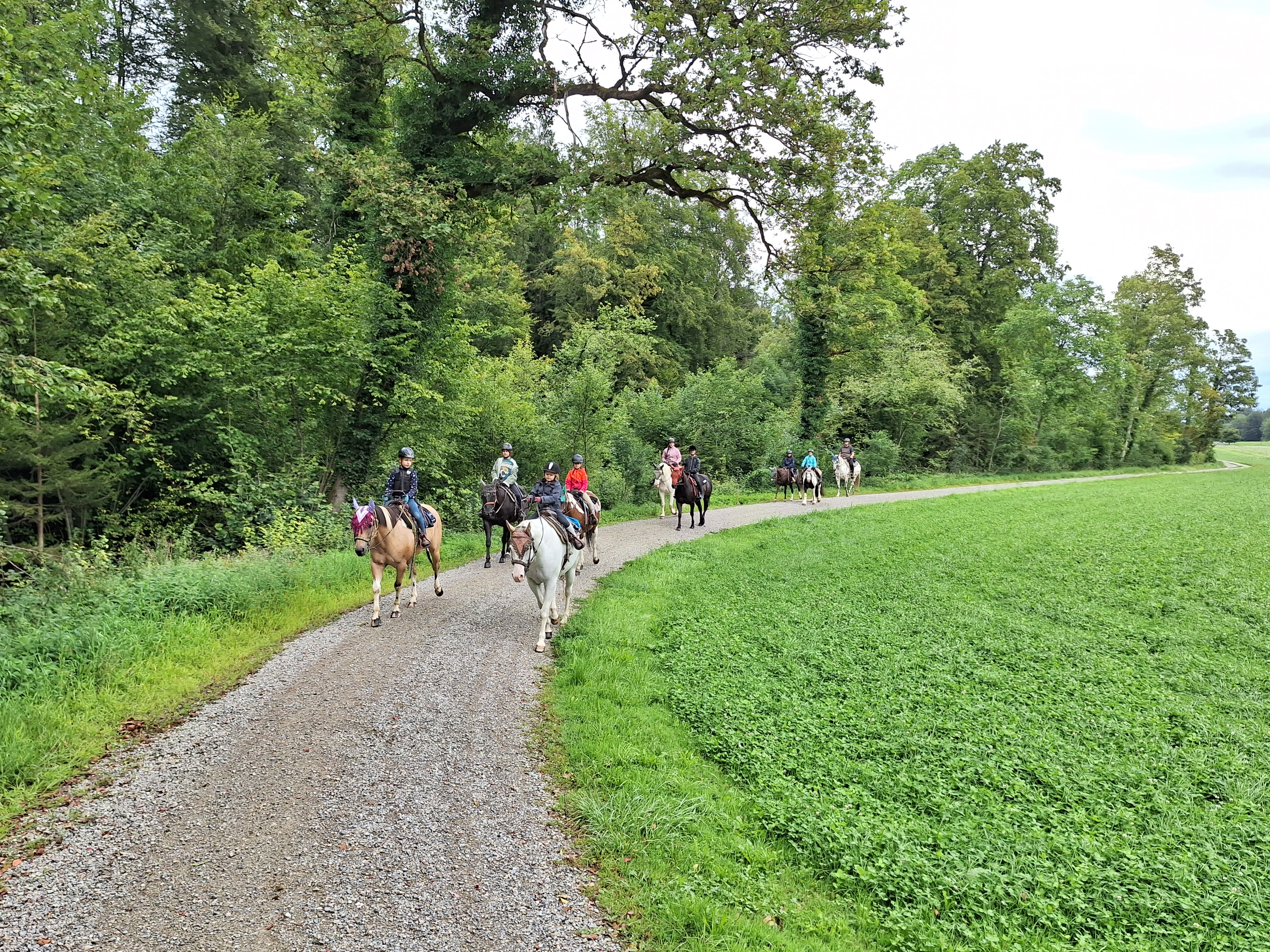 Reitlager 2 vom 5.-10.8.23 (151)