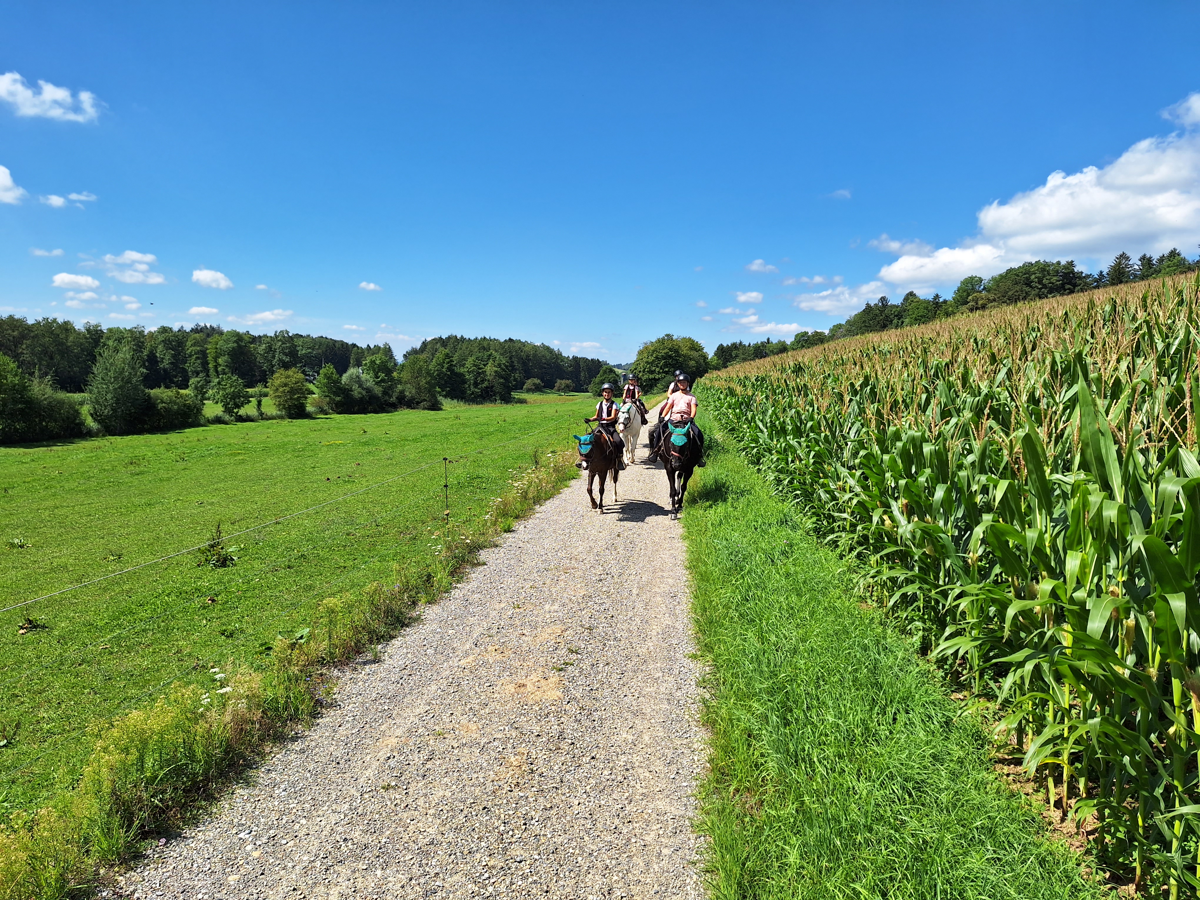 Reitlager 2 vom 5.-10.8.23 (173)