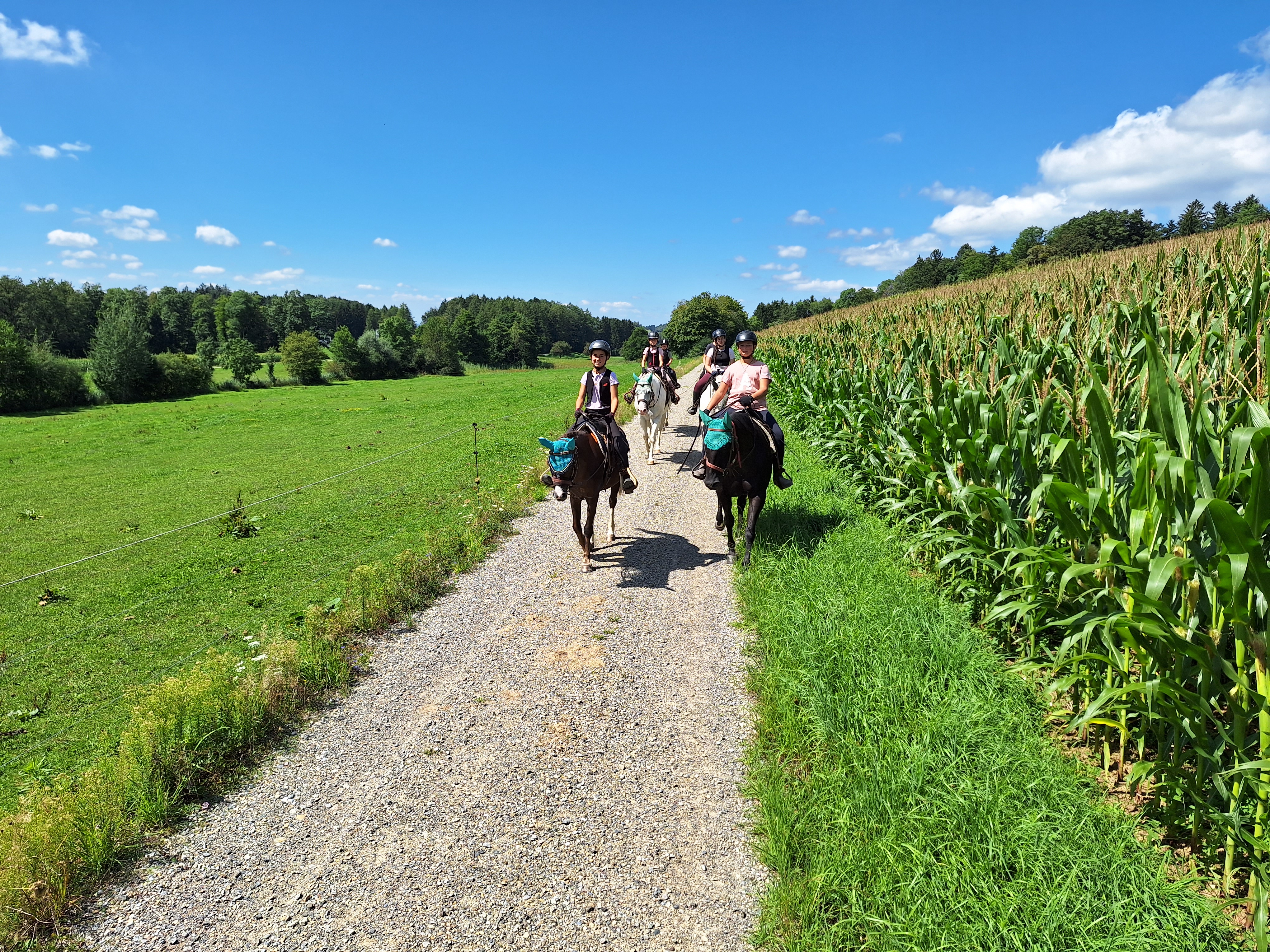 Reitlager 2 vom 5.-10.8.23 (174)